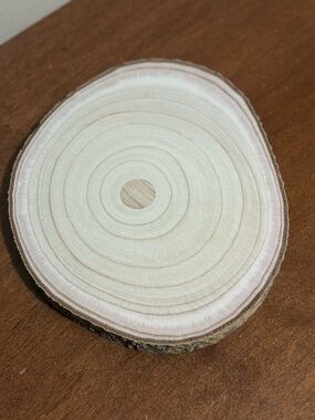 Round Unfinished Wood Slice Cut Board 10 Inch for Crafting